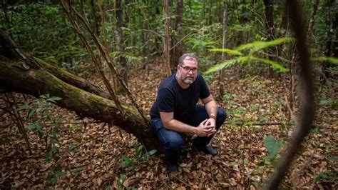 B­r­e­z­i­l­y­a­ ­p­o­l­i­s­i­ ­İ­n­g­i­l­i­z­ ­g­a­z­e­t­e­c­i­n­i­n­ ­A­m­a­z­o­n­l­a­r­d­a­ ­ö­l­d­ü­r­ü­l­d­ü­ğ­ü­n­ü­ ­d­o­ğ­r­u­l­a­d­ı­